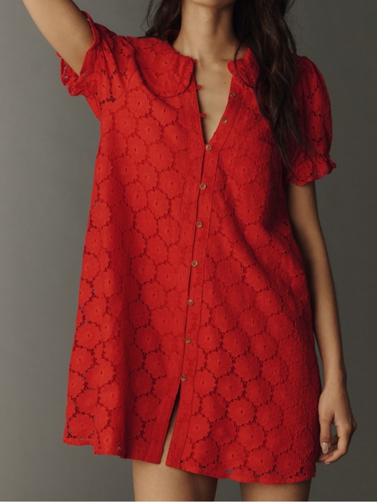 Pilcro Other - Pilcro Keira Lace Mini Dress